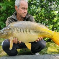 MANU NACQUEMOUCHE - CONSULTANT HCC