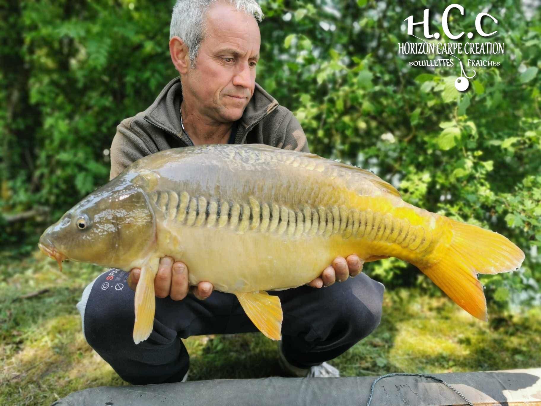 MANU NACQUEMOUCHE - CONSULTANT HCC