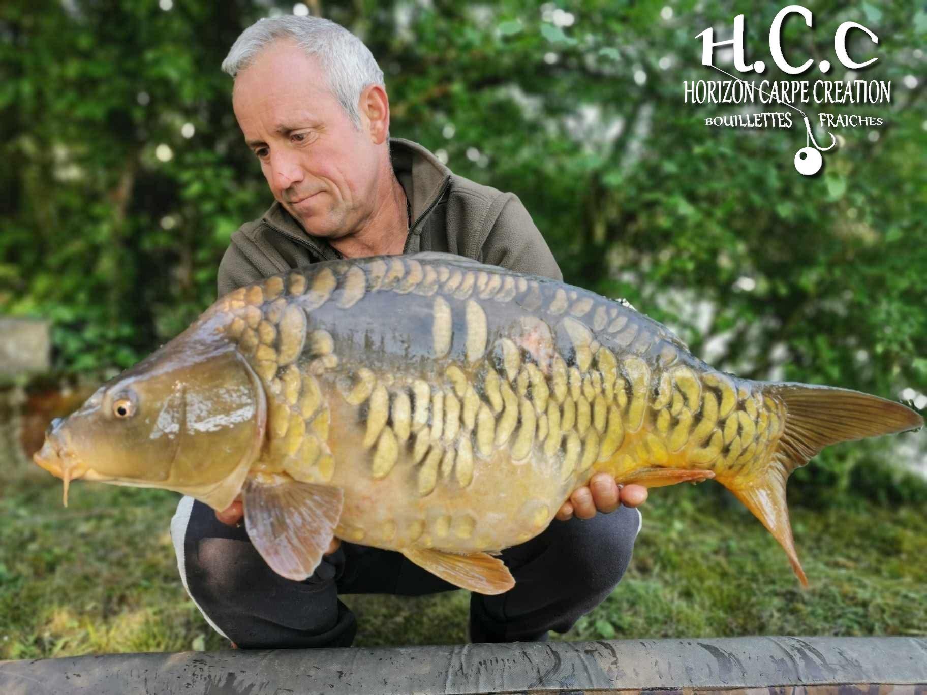 MANU NACQUEMOUCHE - CONSULTANT HCC