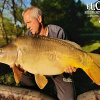 MANU NACQUEMOUCHE - CONSULTANT HCC