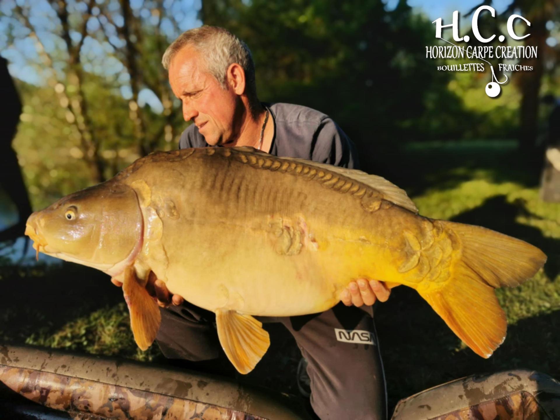 MANU NACQUEMOUCHE - CONSULTANT HCC