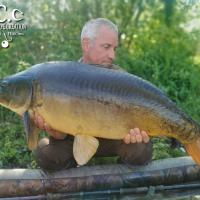 MANU NACQUEMOUCHE - CONSULTANT HCC