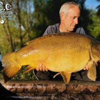 MANU NACQUEMOUCHE - CONSULTANT HCC