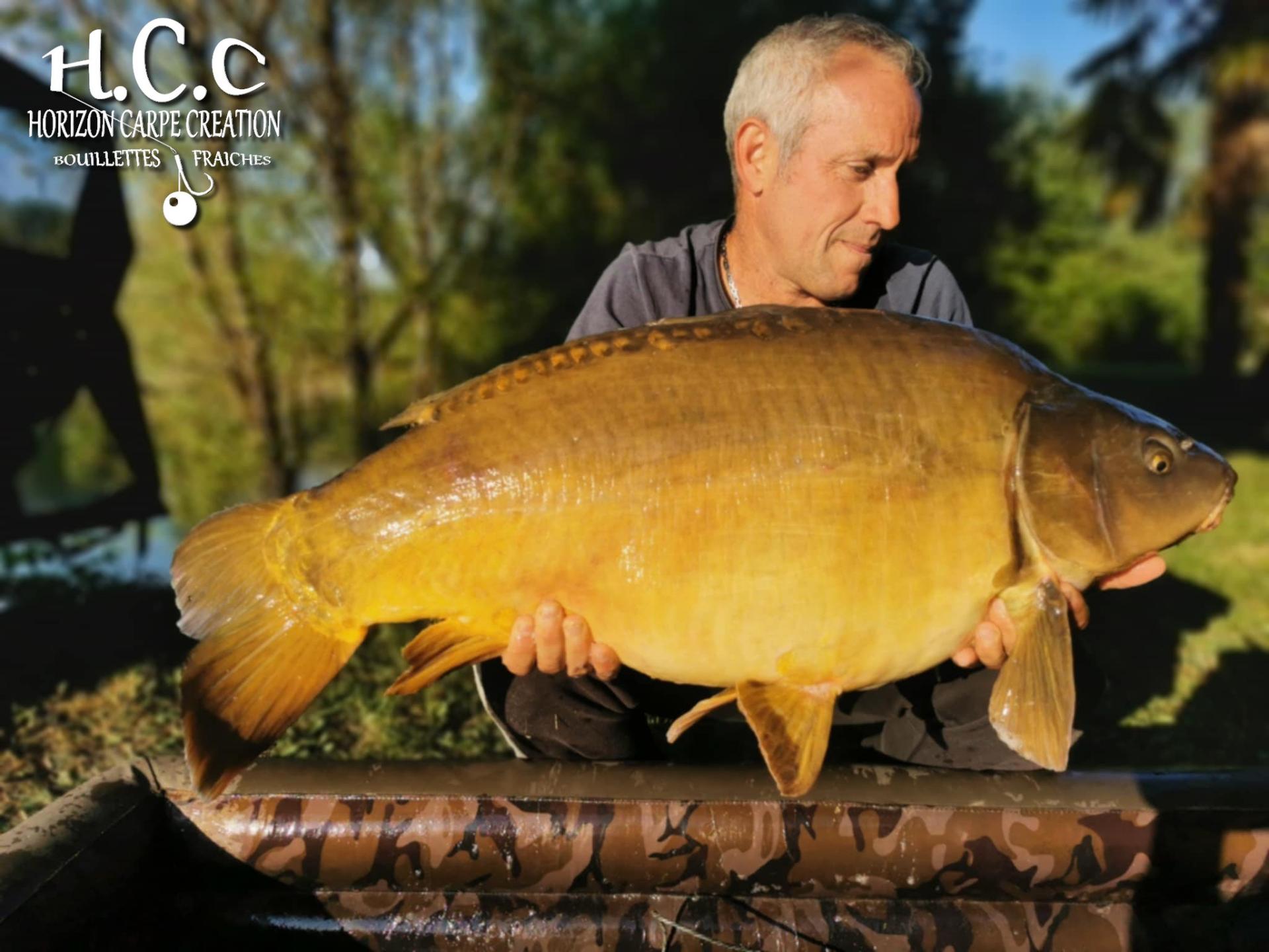 MANU NACQUEMOUCHE - CONSULTANT HCC