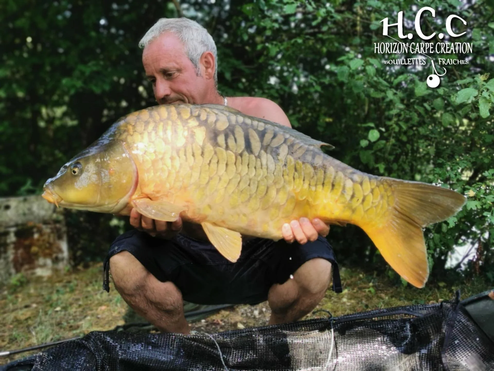 MANU NACQUEMOUCHE - CONSULTANT HCC