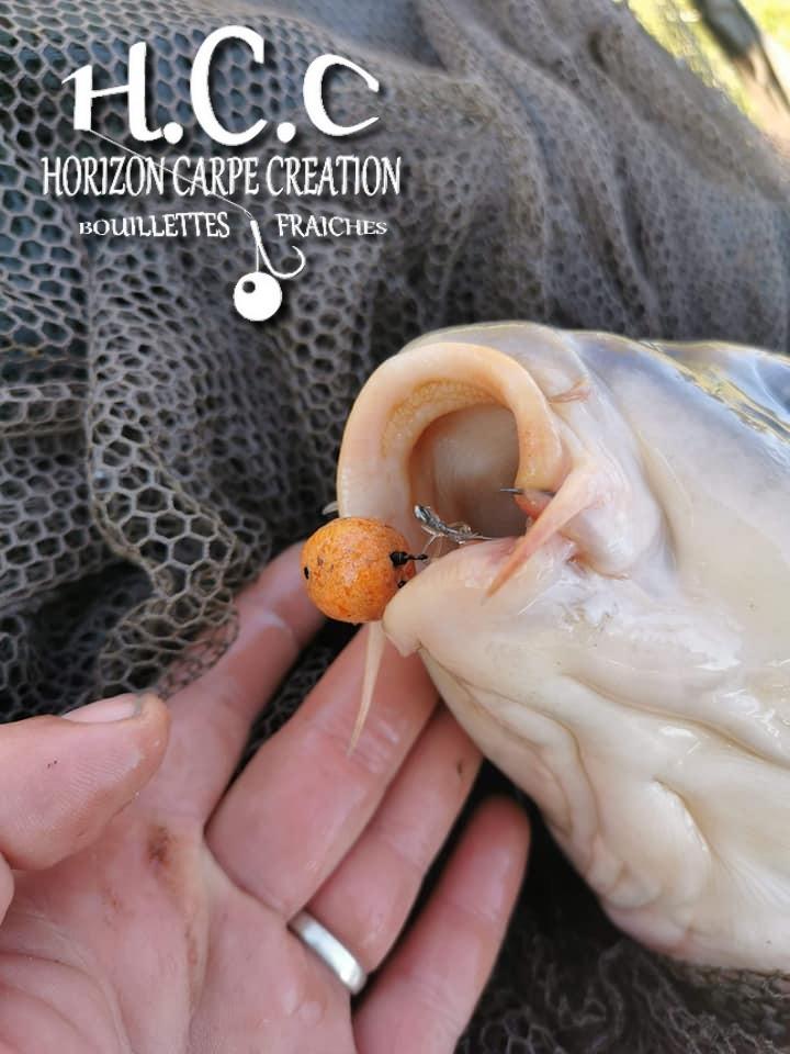 MATHEO MALLET - TEAM JUNIOR HCC