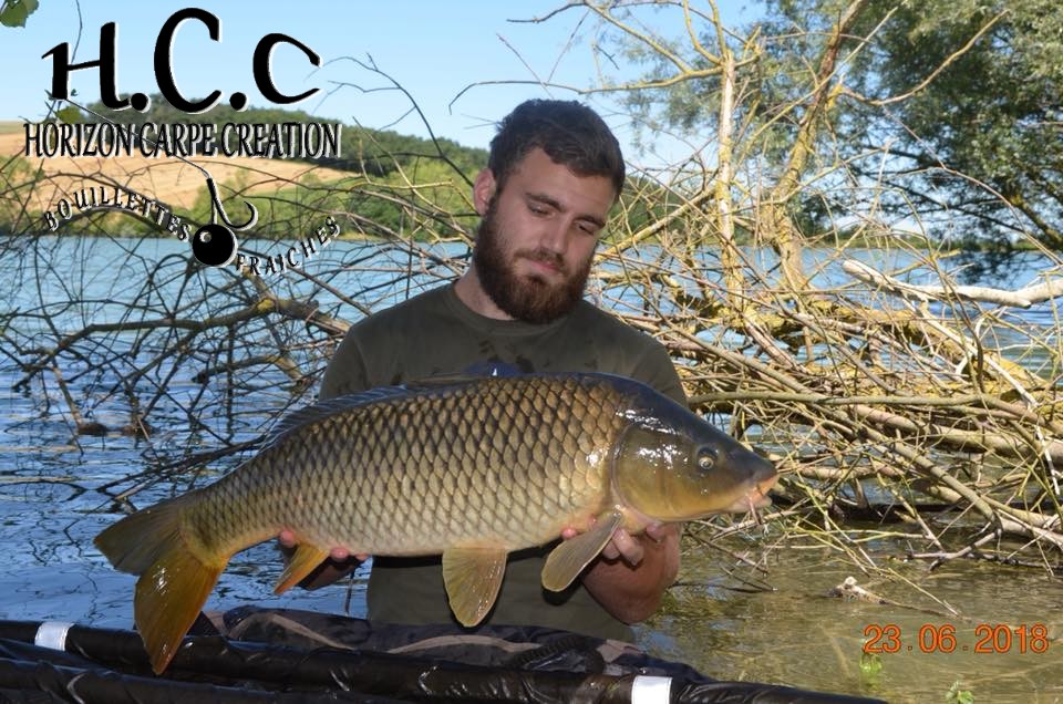 MAXENCE PEREZ - CLIENT HCC