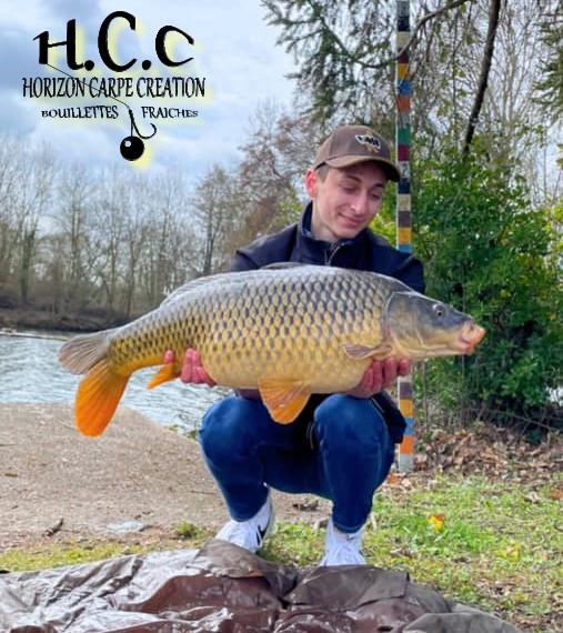 MAXENCE PETIT - CONSULTANT HCC