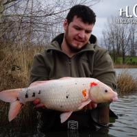 MICKAEL LAURENT - TESTEUR HCC