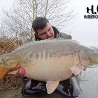 MICKAEL LAURENT - TESTEUR HCC