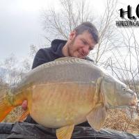 MICKAEL LAURENT - TESTEUR HCC