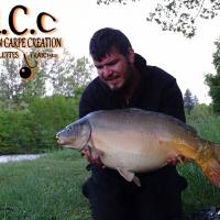 MICKAEL LAURENT - TESTEUR HCC