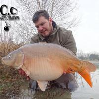 MICKAEL LAURENT - TESTEUR HCC