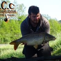 MICKAEL LAURENT - TESTEUR HCC