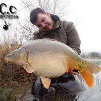 MICKAEL LAURENT - TESTEUR HCC