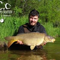 MICKAEL LAURENT - TESTEUR HCC