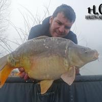 MICKAEL LAURENT - TESTEUR HCC