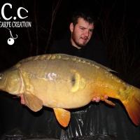 MICKAEL LAURENT - TESTEUR HCC