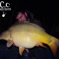 MICKAEL LAURENT - TESTEUR HCC