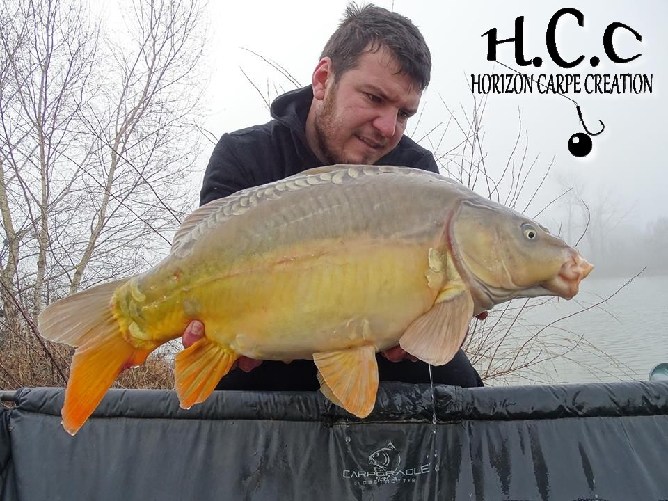 MICKAEL LAURENT - TESTEUR HCC