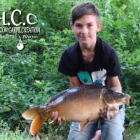 NEVEU DE MICKAEL LAURENT - TESTEUR HCC