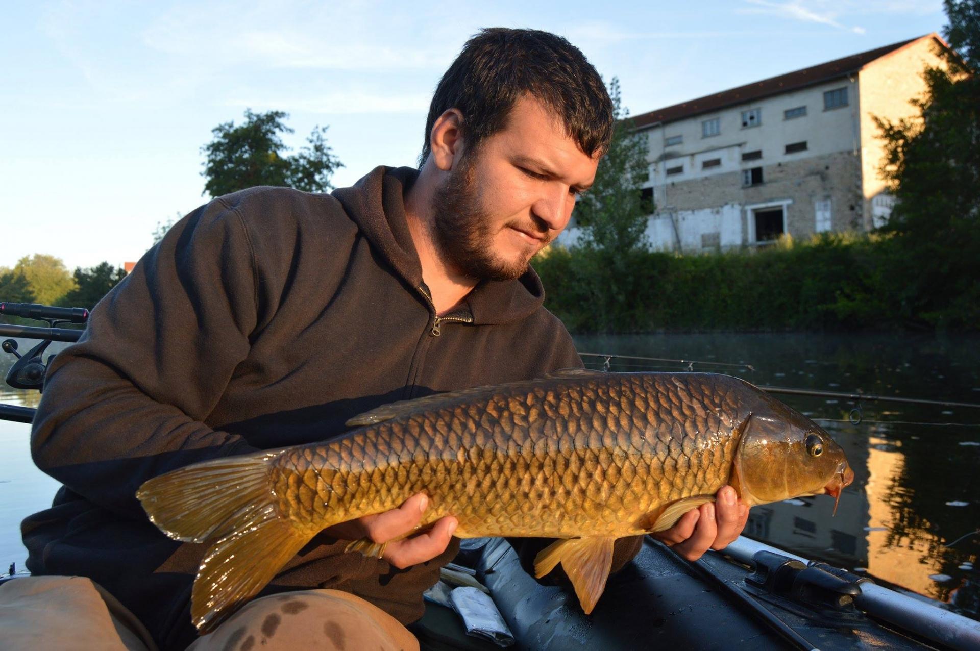 MICKAEL LAURENT - TESTEUR HCC