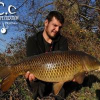 MICKAEL LAURENT - TESTEUR HCC