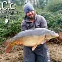 MICKAEL LAURENT - TESTEUR HCC