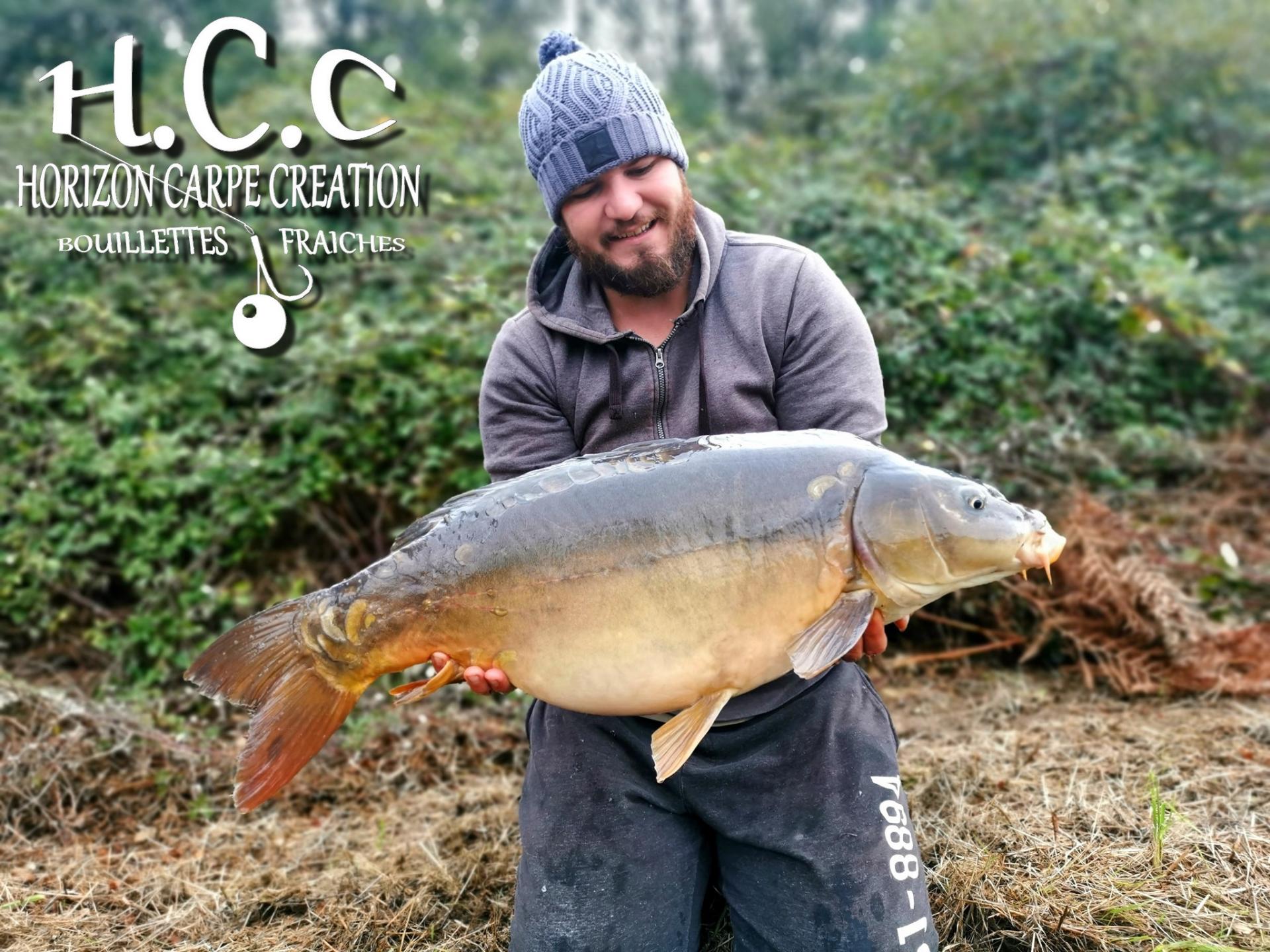 MICKAEL LAURENT - TESTEUR HCC