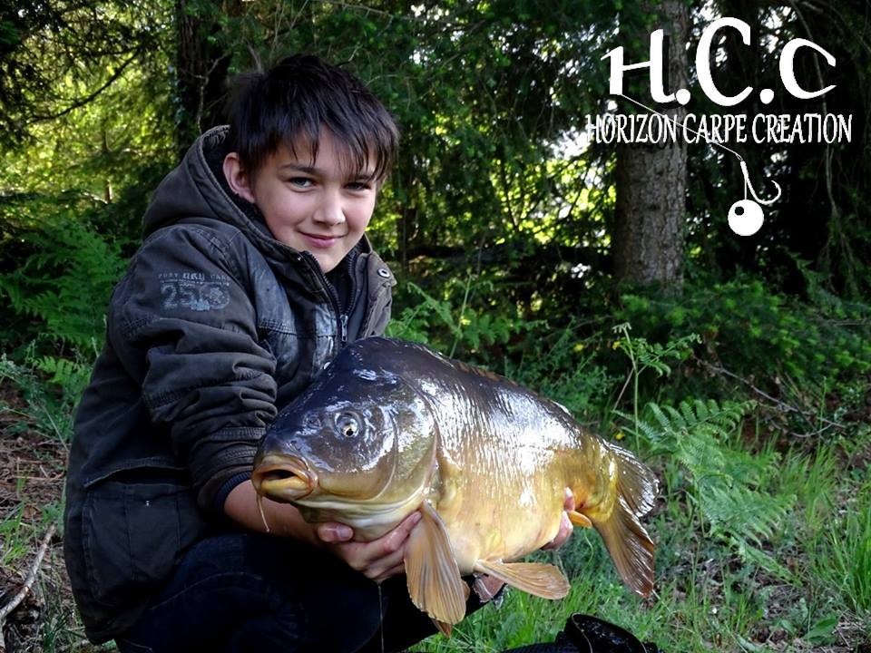 NEVEU DE MICKAEL LAURENT - TESTEUR HCC