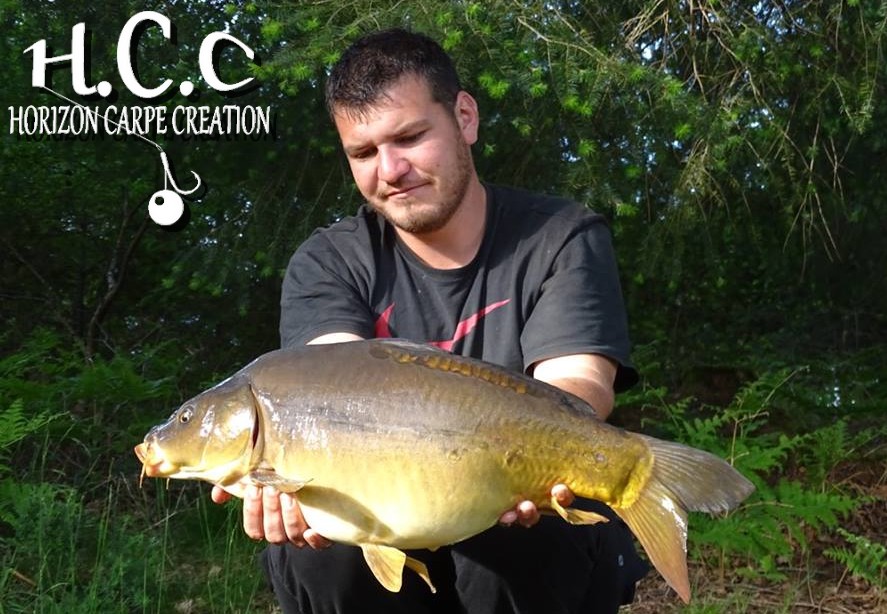 MICKAEL LAURENT - TESTEUR HCC