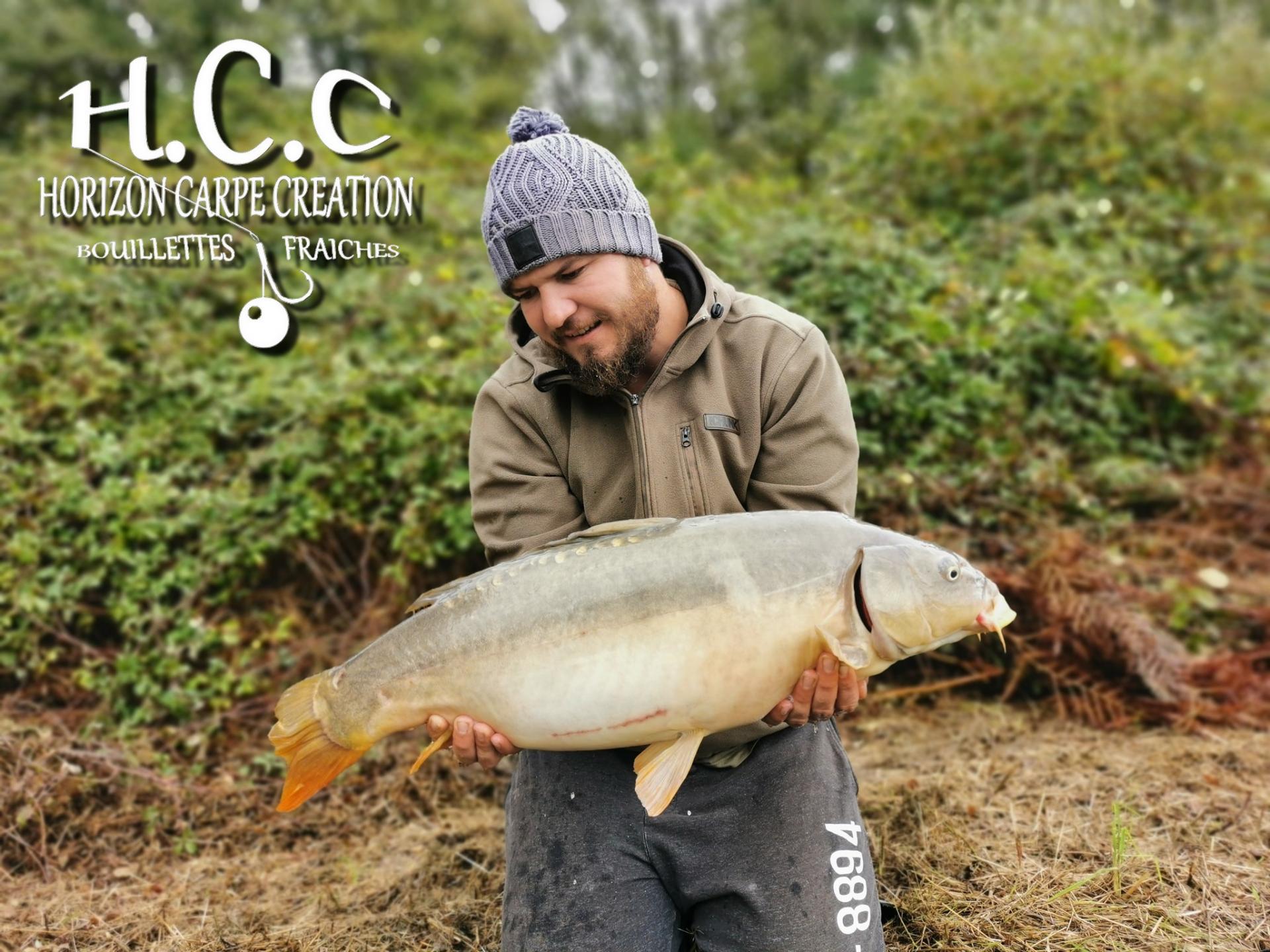 MICKAEL LAURENT - TESTEUR HCC