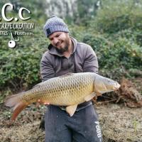 MICKAEL LAURENT - TESTEUR HCC