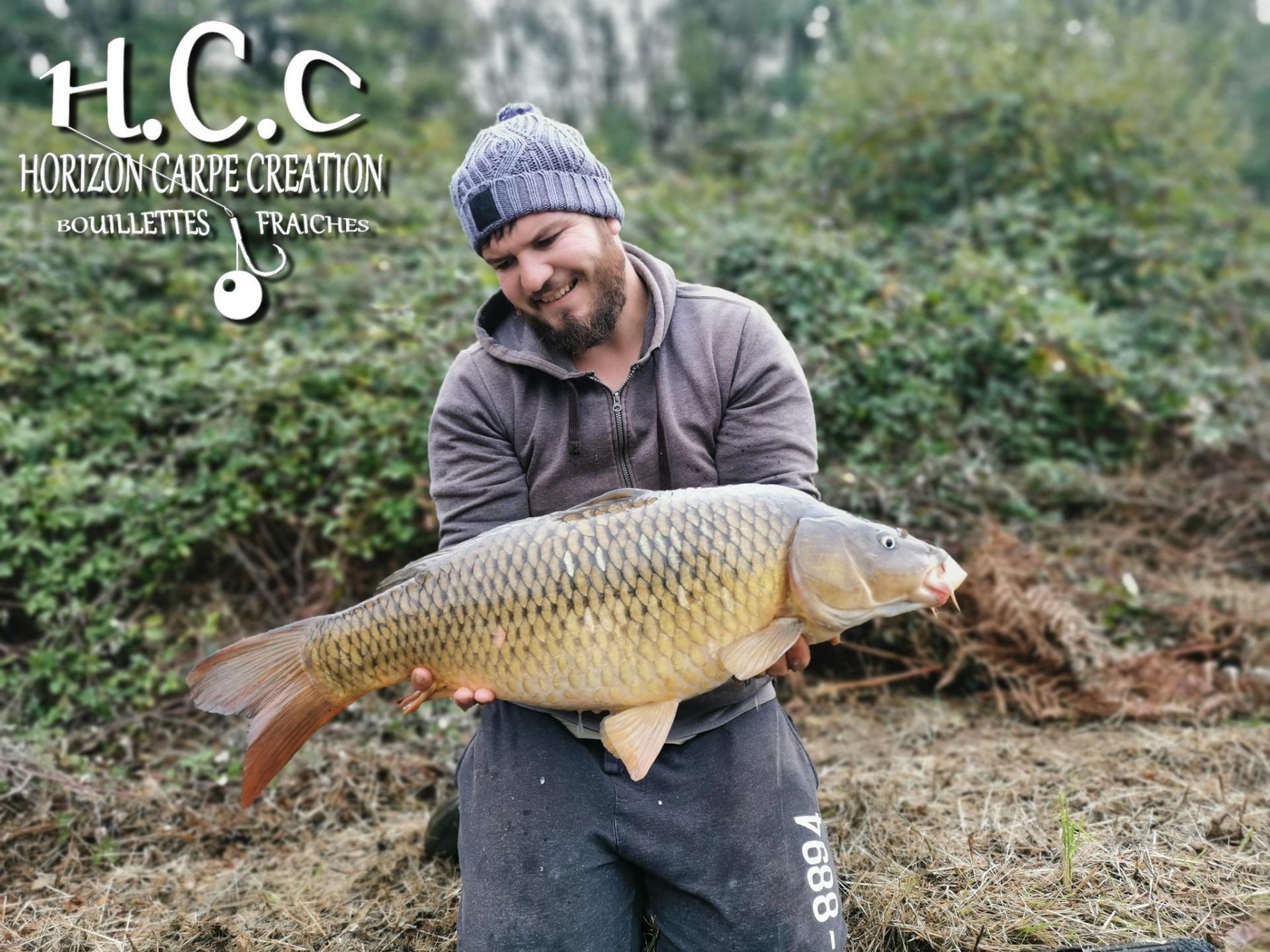 MICKAEL LAURENT - TESTEUR HCC