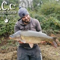 MICKAEL LAURENT - TESTEUR HCC