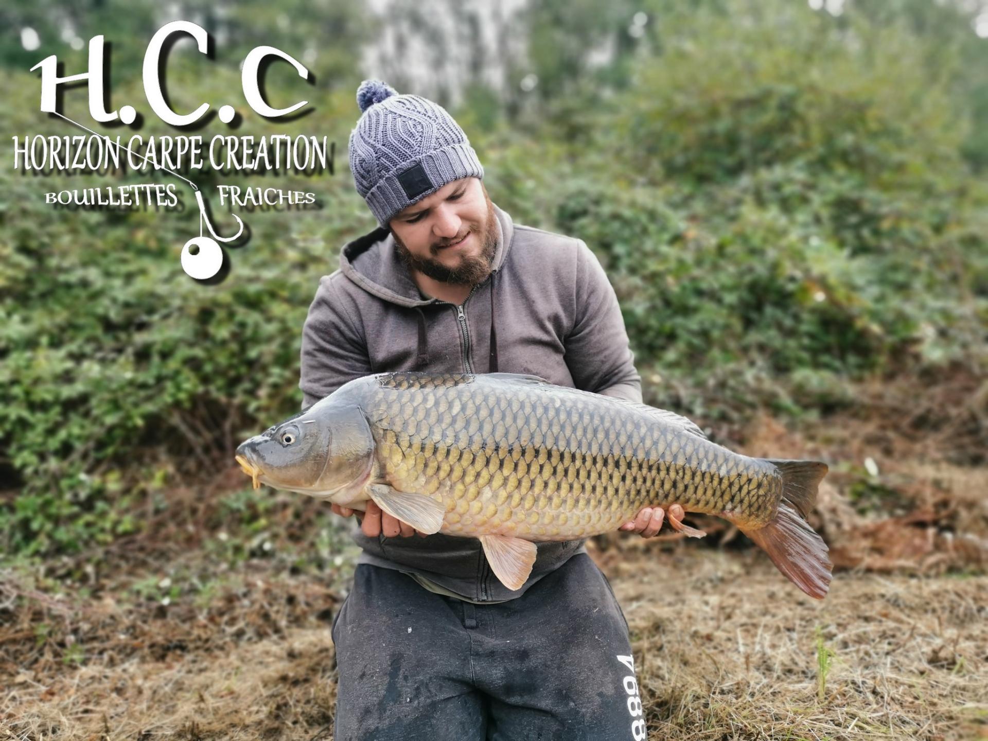 MICKAEL LAURENT - TESTEUR HCC