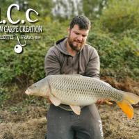 MICKAEL LAURENT - TESTEUR HCC