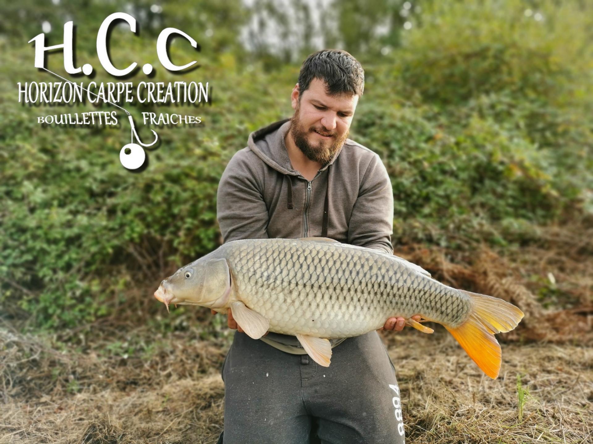 MICKAEL LAURENT - TESTEUR HCC