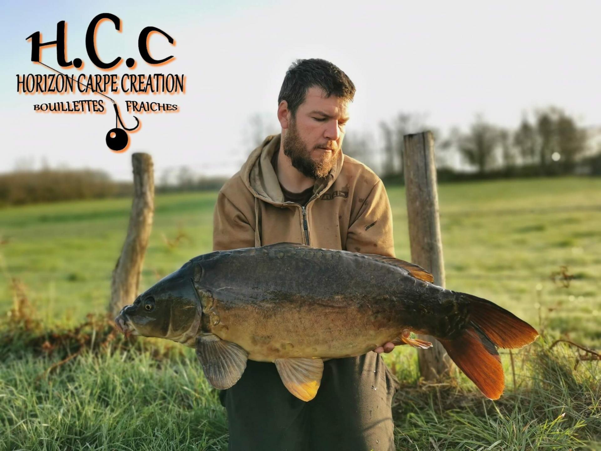 MICKAEL LAURENT - TESTEUR HCC