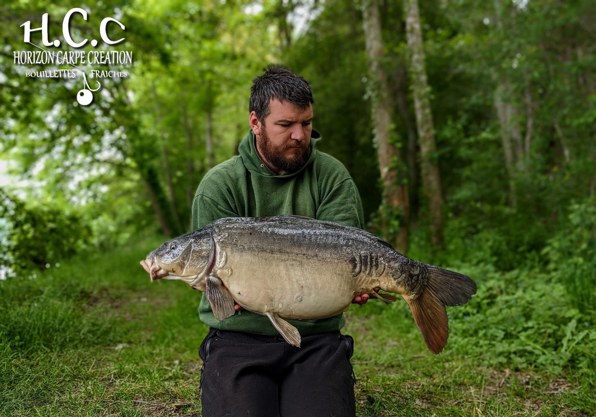 MICKAEL LAURENT  - TESTEUR HCC