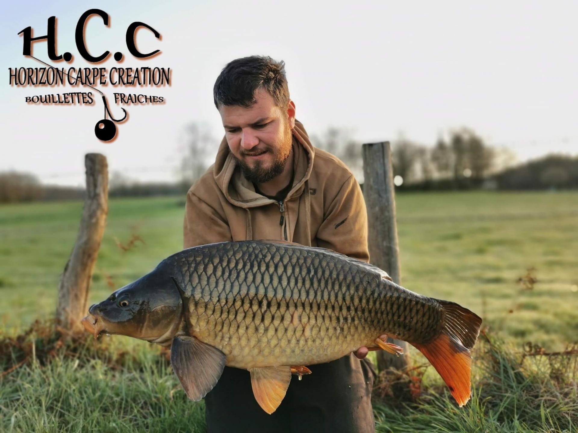 MICKAEL LAURENT - TESTEUR HCC