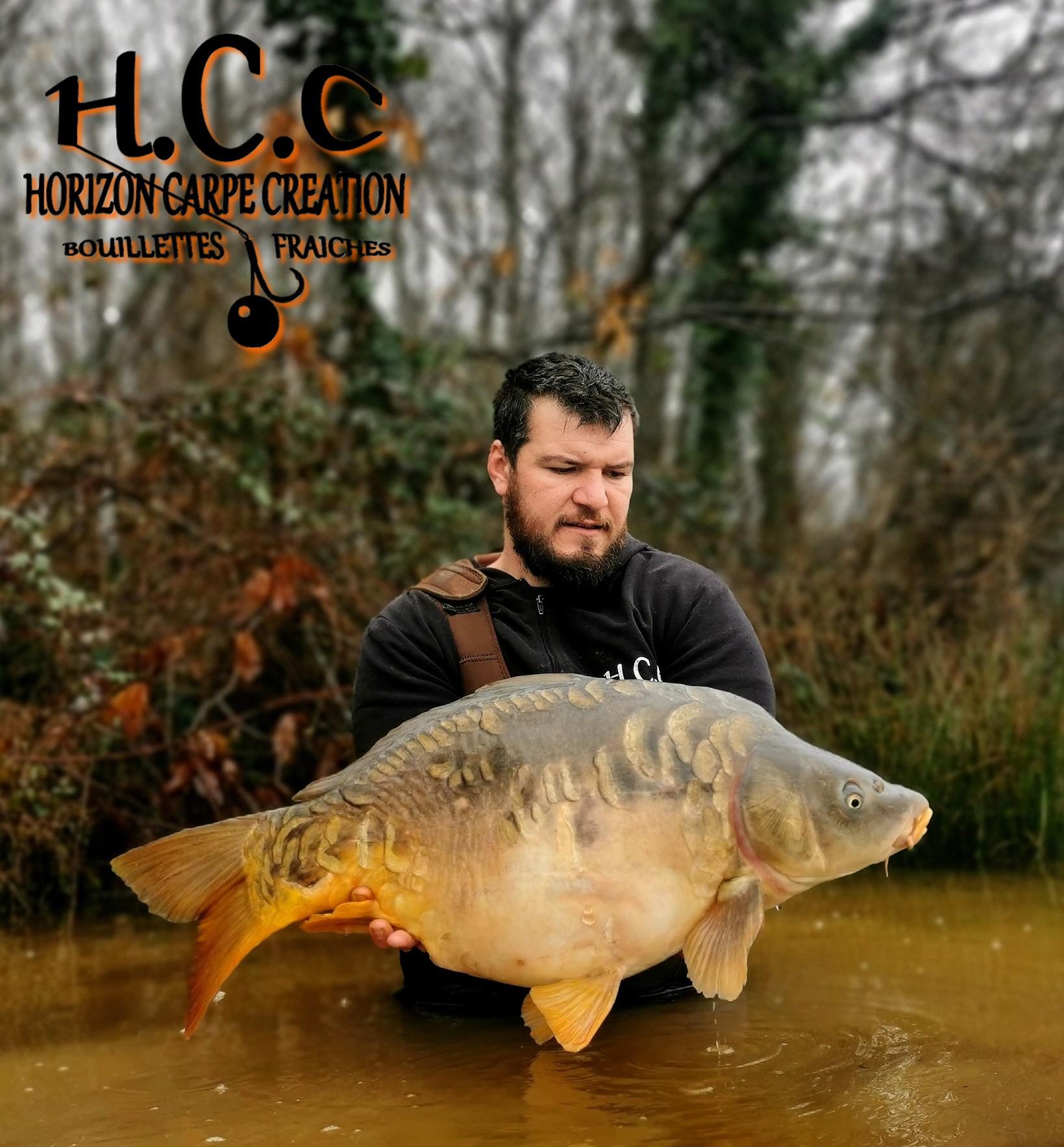 MICKAEL LAURENT - TESTEUR HCC