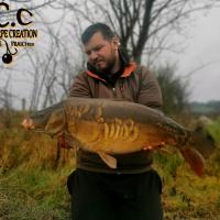 MICKAEL LAURENT - TESTEUR HCC