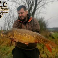 MICKAEL LAURENT - TESTEUR HCC