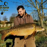 MICKAEL LAURENT - TESTEUR HCC