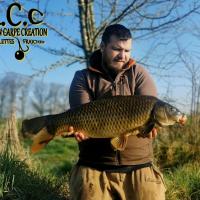 MICKAEL LAURENT - TESTEUR HCC