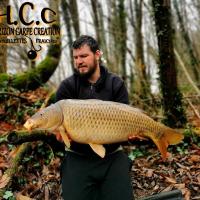 MICKAEL LAURENT - TESTEUR HCC