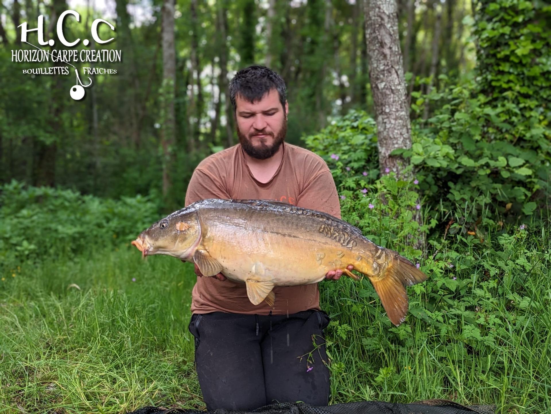 MICKAEL LAURENT  - TESTEUR HCC