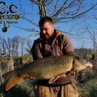 MICKAEL LAURENT - TESTEUR HCC