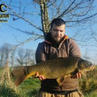 MICKAEL LAURENT - TESTEUR HCC